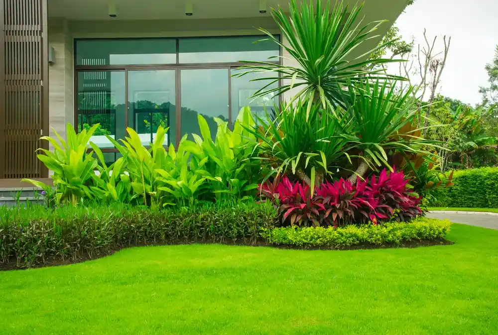 الفرق بين اللاندسكيب والهارد سكيب