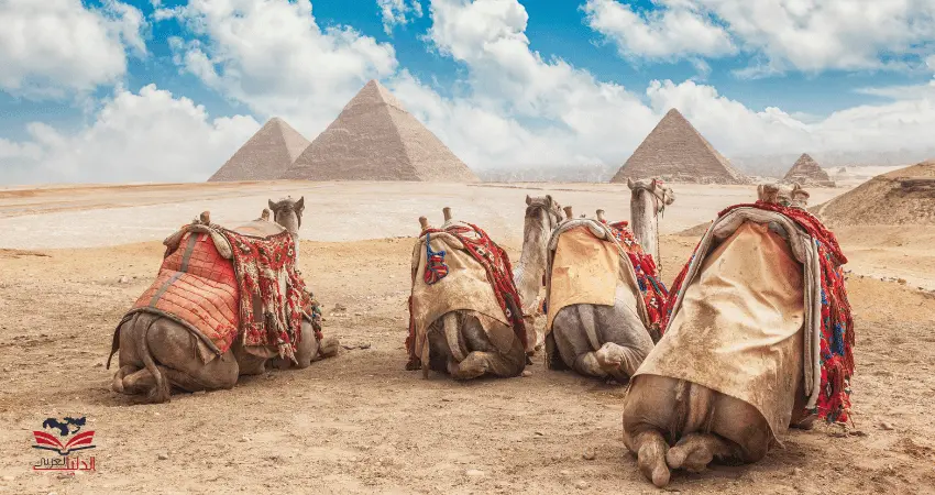 شروط السفر إلى مصر للسعوديين الآن